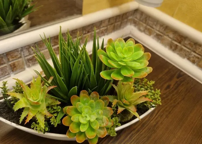 Royal Sea B Apartament *